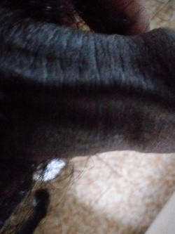 ALTRE FOTO DEL MIO CAZZO INDIANO