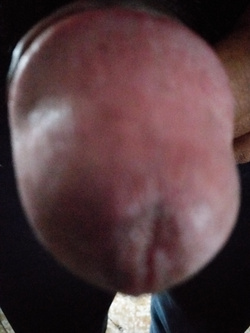 ALTRE FOTO DEL MIO CAZZO INDIANO