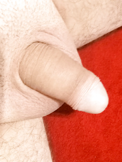 Dopo una giornata stressante mi sono spogliato e...