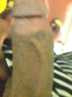 Il mio secondo amico del Sud Africa