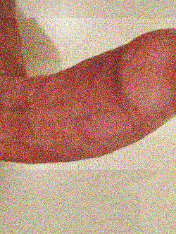 Chi lo vuole? Parte 10