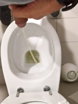 Piscia, pelo e tanta fantasia