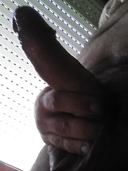 il mio cazzo per voi