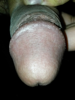 Il cazzone di febbraio