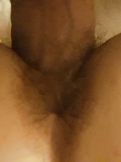 A pecorina sfondata dal grosso cazzo del suo Bull