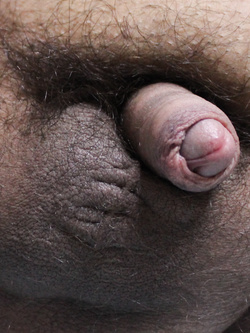 Giorni di quarantena