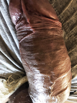 Il mio cazzone a riposo (solo per signore!!!!!!) Parte 2