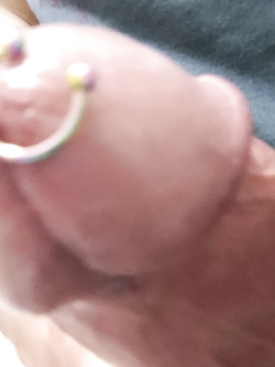 cazzo con il piercing