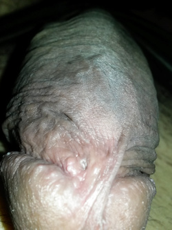 Estate 2020 l'arnese