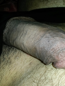 Estate 2020 l'arnese