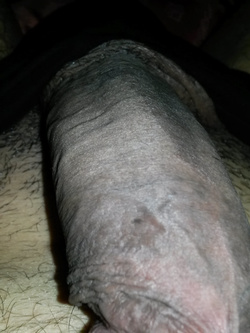 Estate 2020 l'arnese