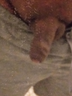 Prima e dopo RASATURA