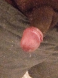 Prima e dopo RASATURA