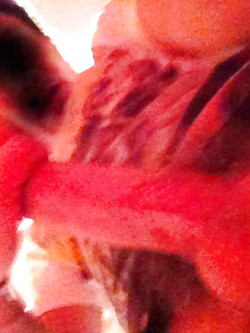 il mio cazzo Parte 29