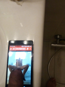 Tributo per mercuzia