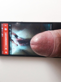 Tributo a leitroiaeluicornuto90