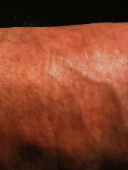 il mio cazzo Parte 33