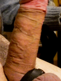 Guardando le foto del sito difficile resistere