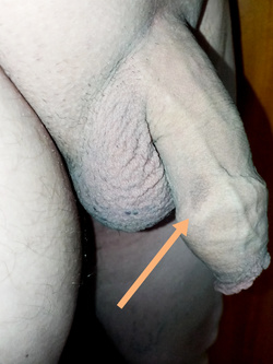 Segni particolari!!!!!