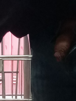 Nel parcheggio Parte 2