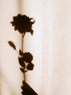 Foto porno hot di mistress Audrey Martin