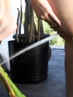 pissing della milfona...