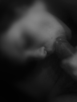 Troiette Da Svezzare