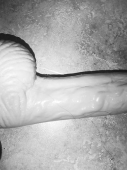 Dildo gigante