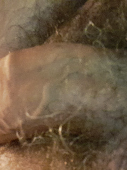 Il mio bel cazzo Parte 3