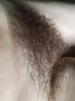 Mia moglie un po' per voi