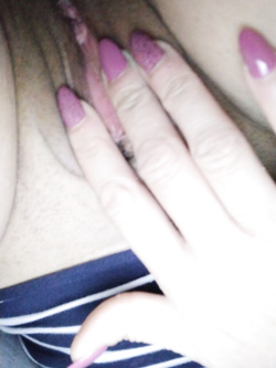 Aspetta commenti porci