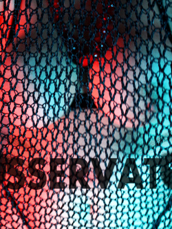 Un po' di foto nostre...