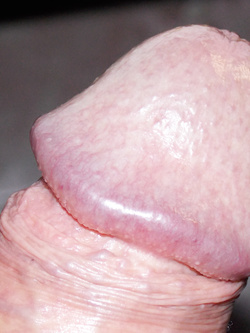 Più si matura e ..... più buono viene il .....