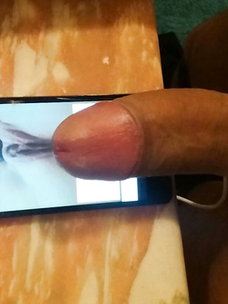 Tributo a troieta vogliosa