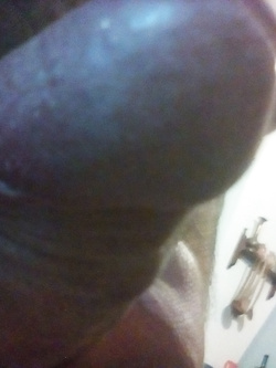 Tributo a mia moglie