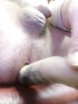 Quando mia moglie non c'è