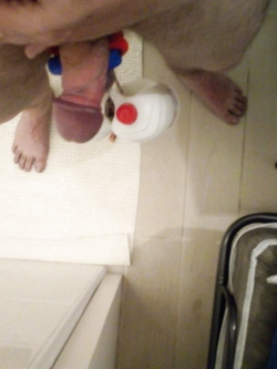 pesi vari ai testicoli