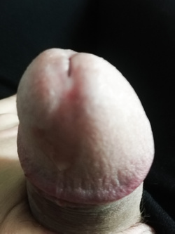 Risveglio del mattino