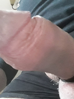 Il grosso cazzone al guinzaglio