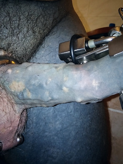 Lei mi vuole così, sempre fedele!