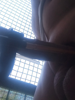 estensore  per Giacomino