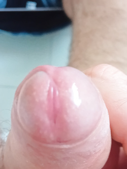 Chi me lo succhia? Parte 4