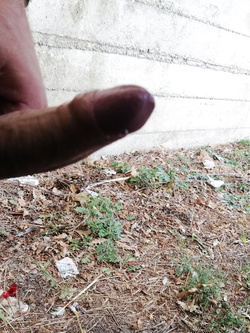 Il flauto magico Parte 2