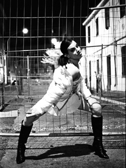 STO ARRAPATA CAZZOOO VOL 11