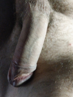 Eccomi qui per voi...