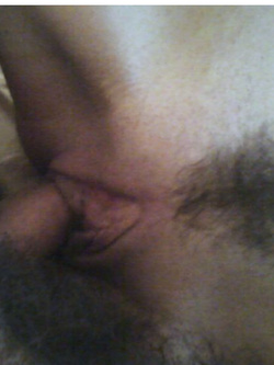 Il terzo diario di una porca....