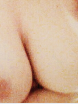 Il terzo diario di una porca....