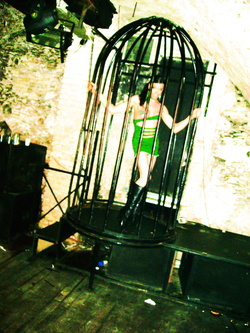 PER NIGERIANI PORCI CLICCAA