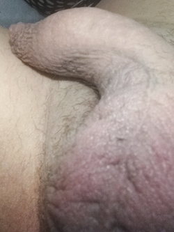 Scoprirmi in una notte calda , a riposo (show my dick)