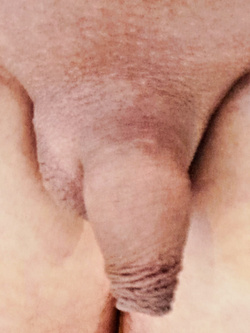 Scoprirmi in una notte calda , a riposo (show my dick)